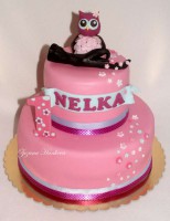 /album/detske-torty/dsc08652pic-sova-okt-2014-800-jpg1/